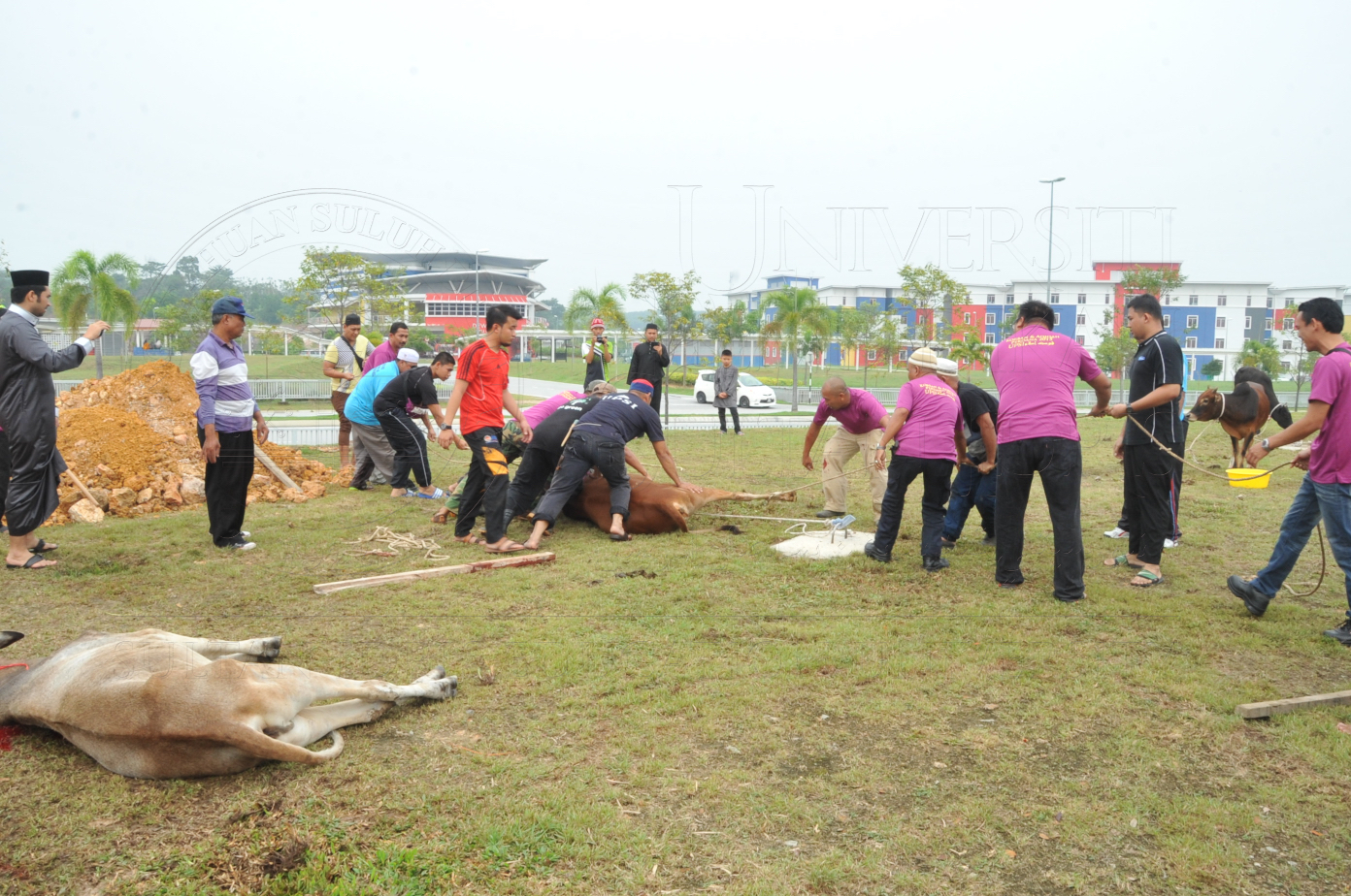 PRO15 150 KORBAN HAS 6830